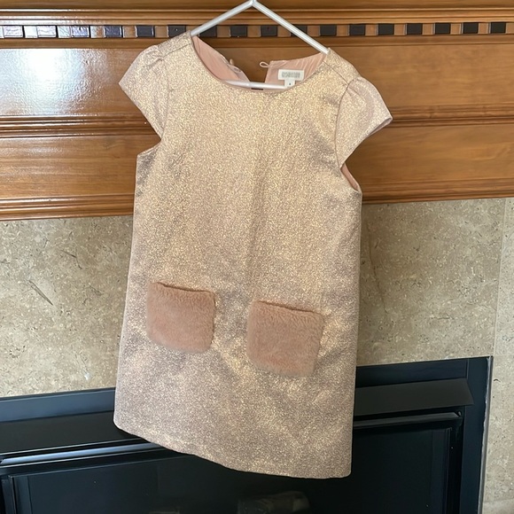 Gymboree Other - Gymboree dress